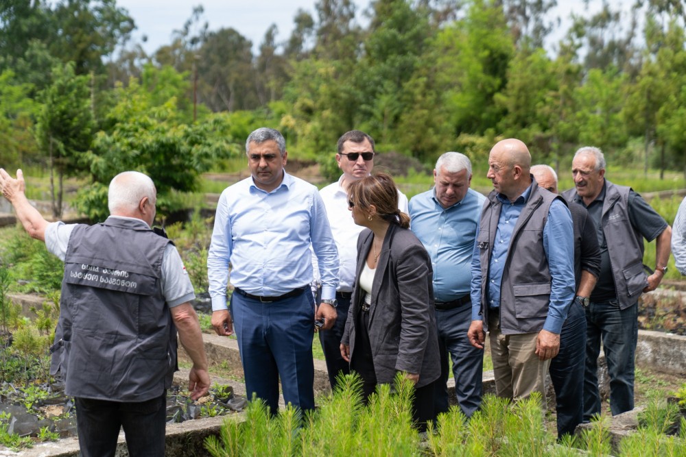   5  ივნისი გარემოს დაცვის საერთაშორისო დღეა!
