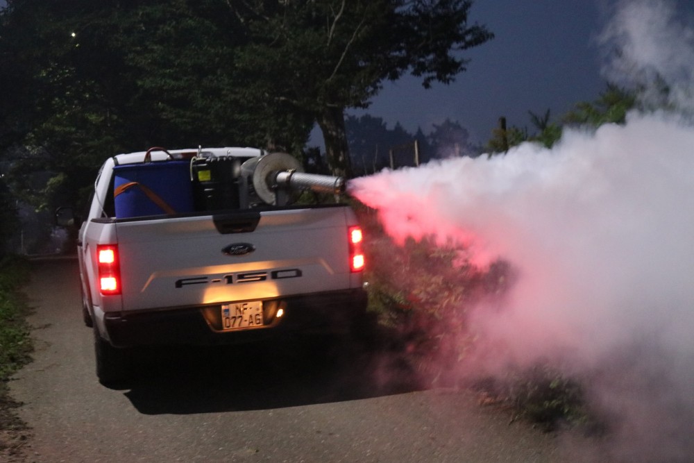 აზიური ფაროსანას წინააღმდეგ ბრძოლა აქტიურად მიმდინარეობს