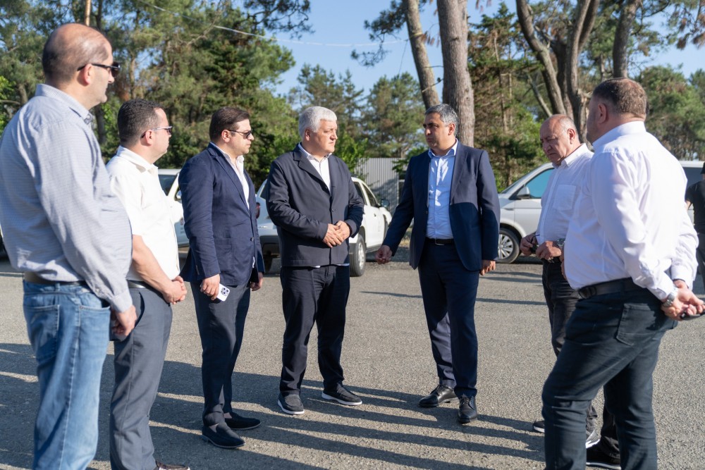 აზიური ფაროსანას წინააღმდეგ ბრძოლა აქტიურად მიმდინარეობს