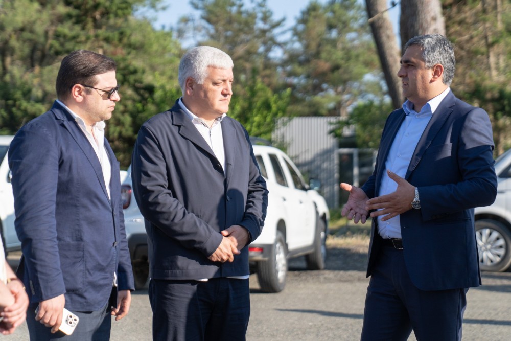 აზიური ფაროსანას წინააღმდეგ ბრძოლა აქტიურად მიმდინარეობს