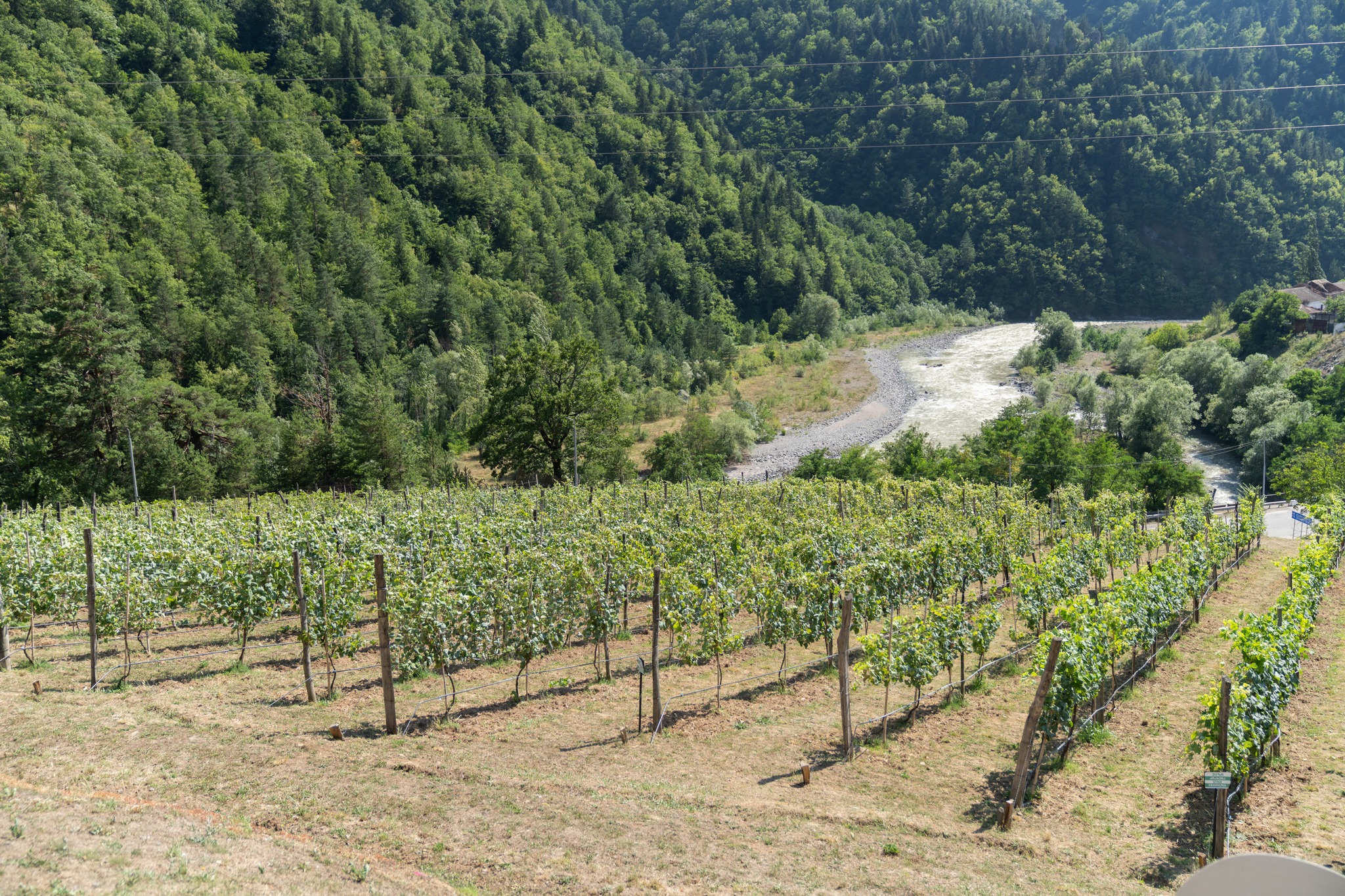 ფრიფონ ფუტკარაძე - ჩვენთვის პრიორიტეტი მოსახლეობის საჭიროებების მაქსიმალურად გათვალისწინებაა