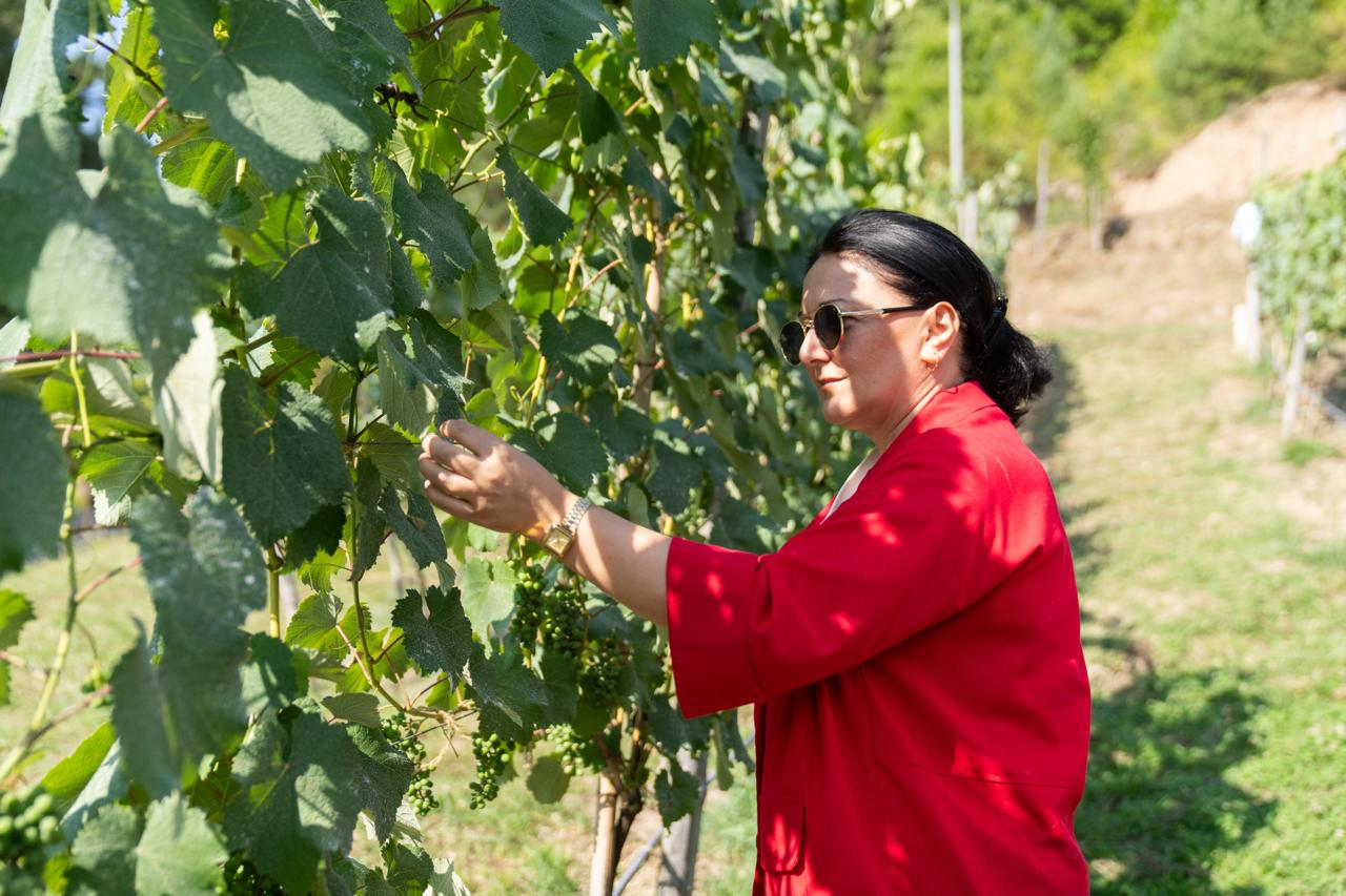 ფრიფონ ფუტკარაძე - ჩვენთვის პრიორიტეტი მოსახლეობის საჭიროებების მაქსიმალურად გათვალისწინებაა