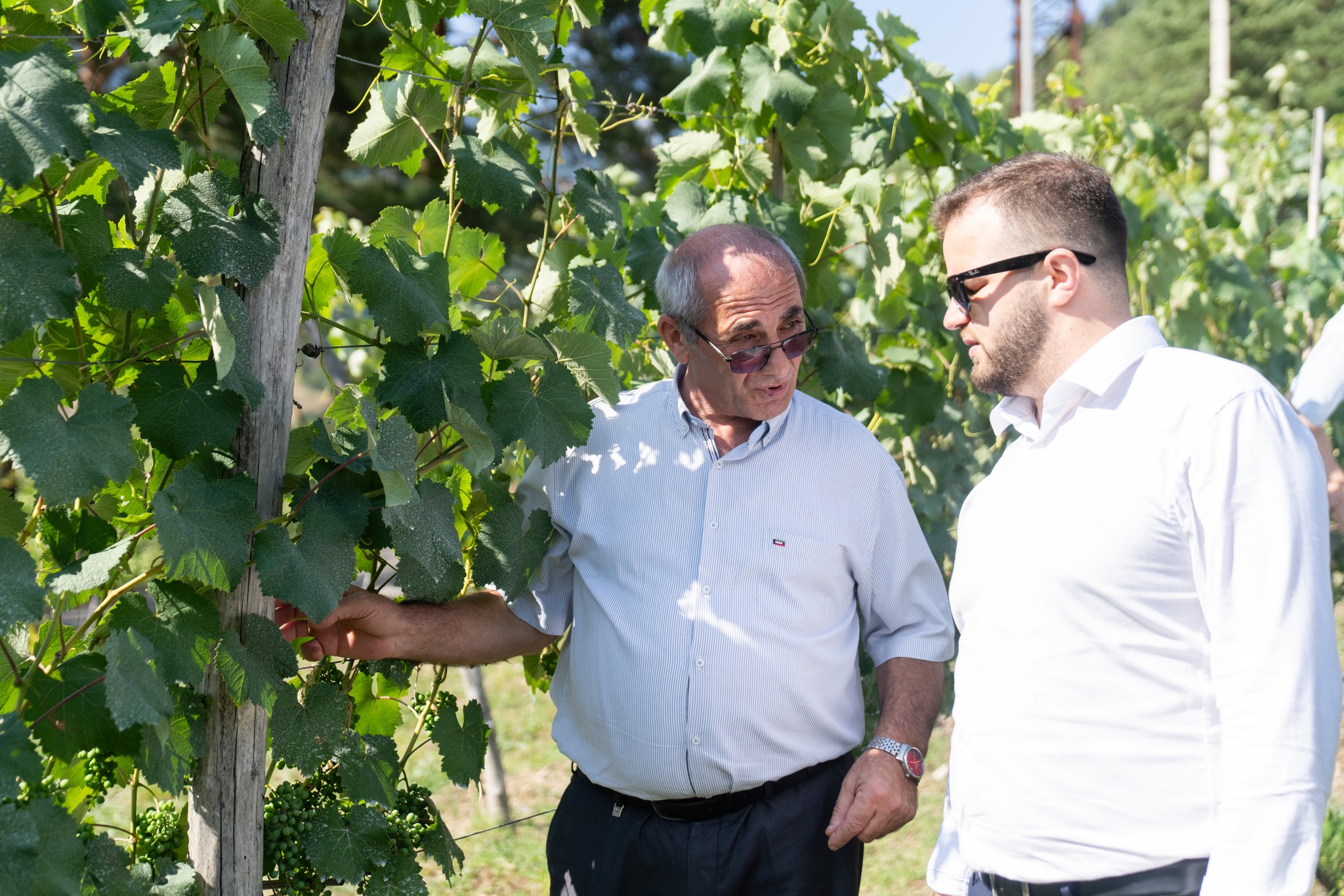 ფრიფონ ფუტკარაძე - ჩვენთვის პრიორიტეტი მოსახლეობის საჭიროებების მაქსიმალურად გათვალისწინებაა