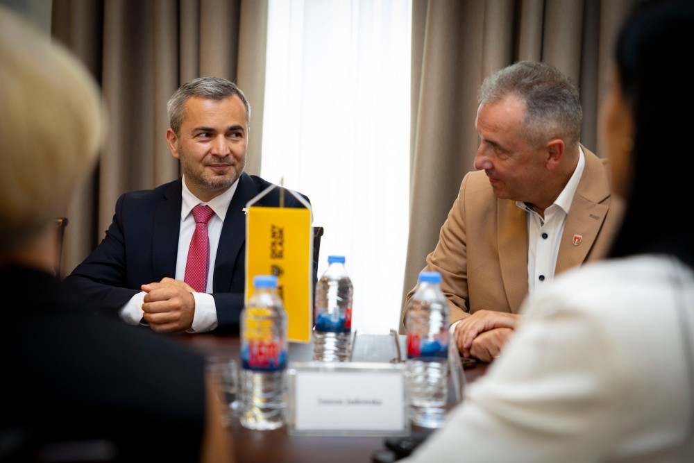 დავით გაბაიძემ ქვემო სილეზიის დელეგაციას უმასპინძლა