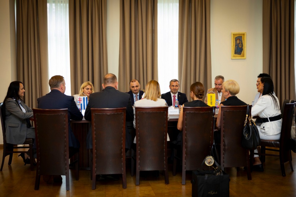 დავით გაბაიძემ ქვემო სილეზიის დელეგაციას უმასპინძლა