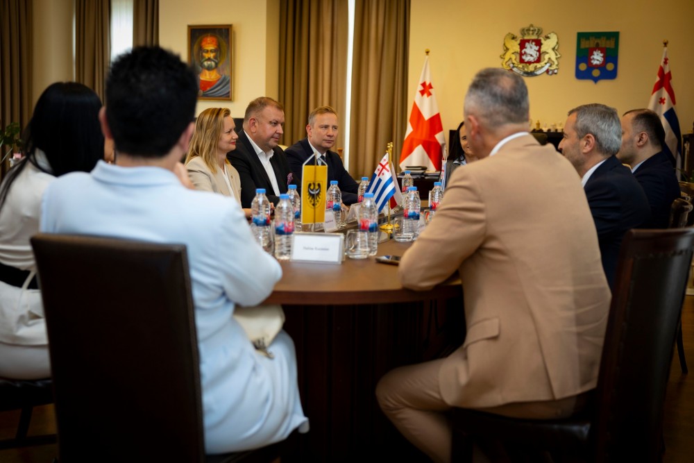 დავით გაბაიძემ ქვემო სილეზიის დელეგაციას უმასპინძლა