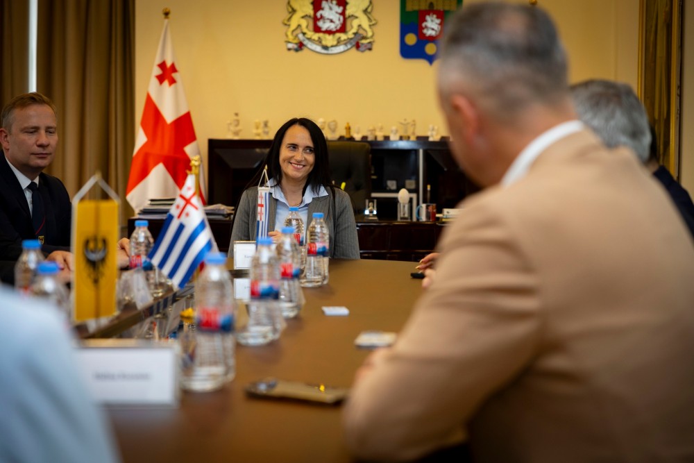 დავით გაბაიძემ ქვემო სილეზიის დელეგაციას უმასპინძლა