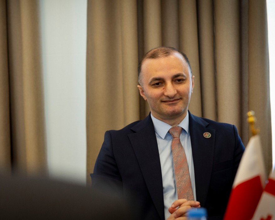 დავით გაბაიძემ ქვემო სილეზიის დელეგაციას უმასპინძლა