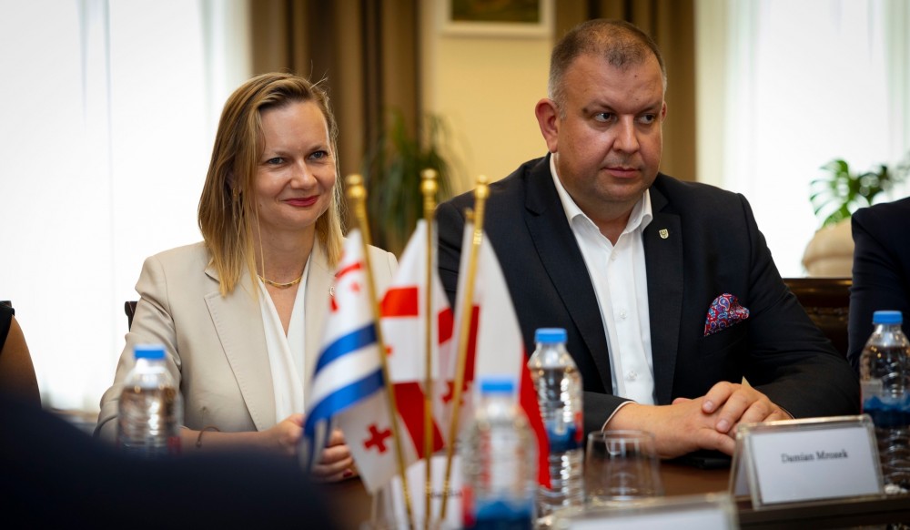 დავით გაბაიძემ ქვემო სილეზიის დელეგაციას უმასპინძლა