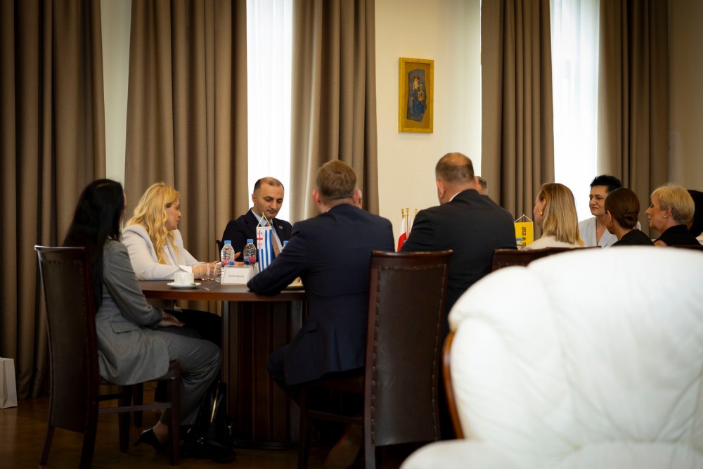 დავით გაბაიძემ ქვემო სილეზიის დელეგაციას უმასპინძლა