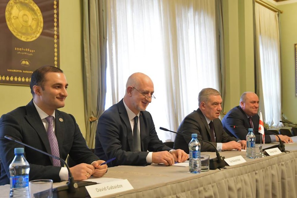 დავით გაბაიძე პარლამენტში გამართულ შეხვედრას დაესწრო