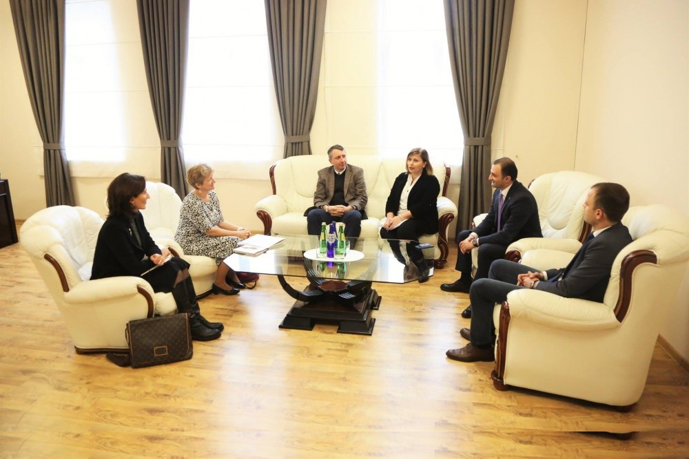 შეხვედრა გაეროს განვითარების პროგრამის მუდმივ წარმომადგენელთან