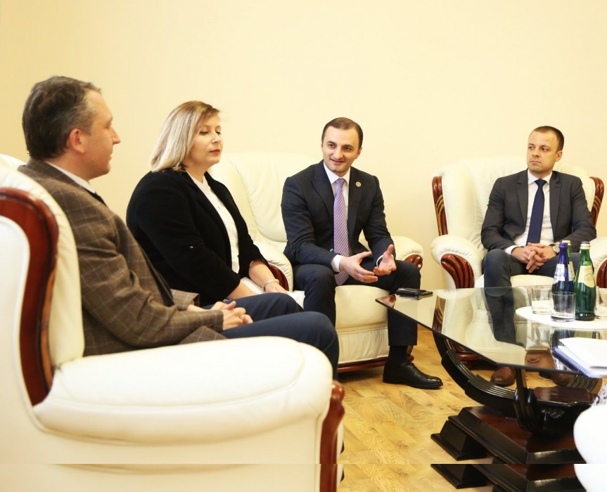 შეხვედრა გაეროს განვითარების პროგრამის მუდმივ წარმომადგენელთან