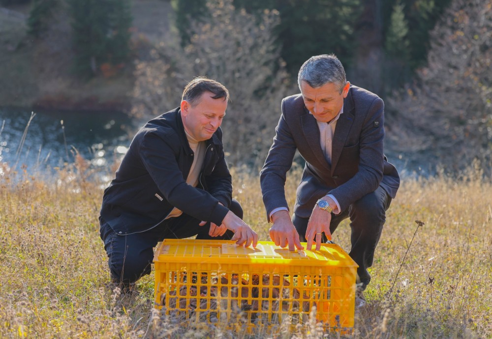 ფრიდონ ფუტკარაძე: „ჩვენი მიზანი ბუნებრივი ეკოსისტემის გამდიდრებაა“
