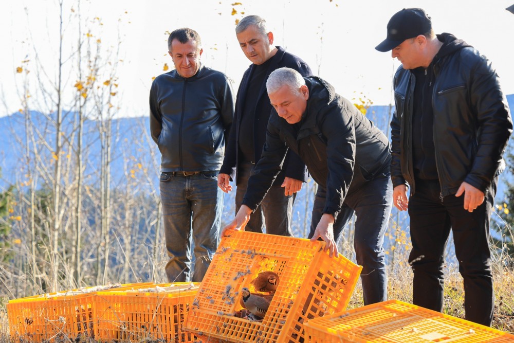 ფრიდონ ფუტკარაძე: „ჩვენი მიზანი ბუნებრივი ეკოსისტემის გამდიდრებაა“