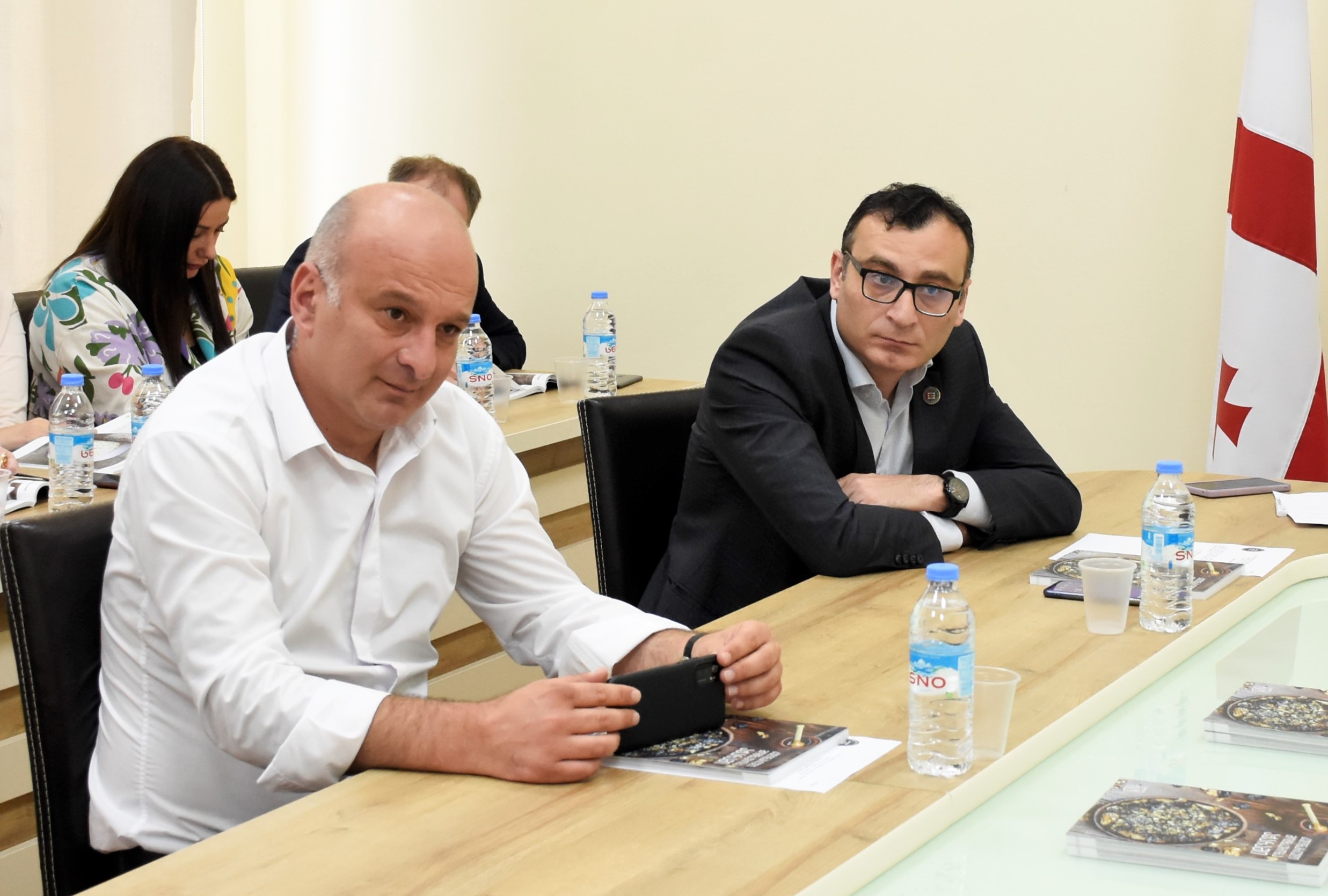 საფინანსო-საბიუჯეტო და ეკონომიკურ საკითხთა კომიტეტში ტურიზმისა  და კურორტების დეპარტამენტის 2021 წლის საქმიანობის ანგარიში მოისმინეს