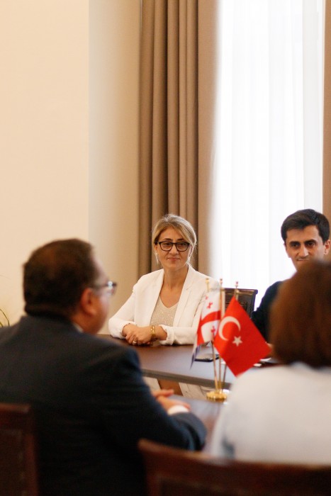 დავით გაბაიძემ რიზა ქაღან ილმაზს უმასპინძლა