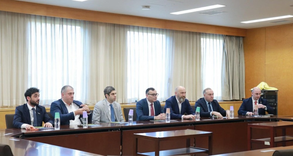 სამუშაო ვიზიტი ტოკიოში