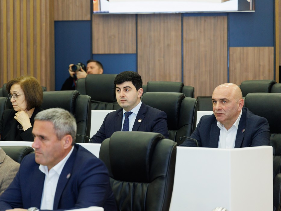 რიგგარეშე სესიის პლენარული სხდომა