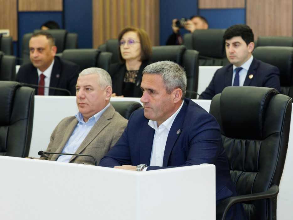 რიგგარეშე სესიის პლენარული სხდომა