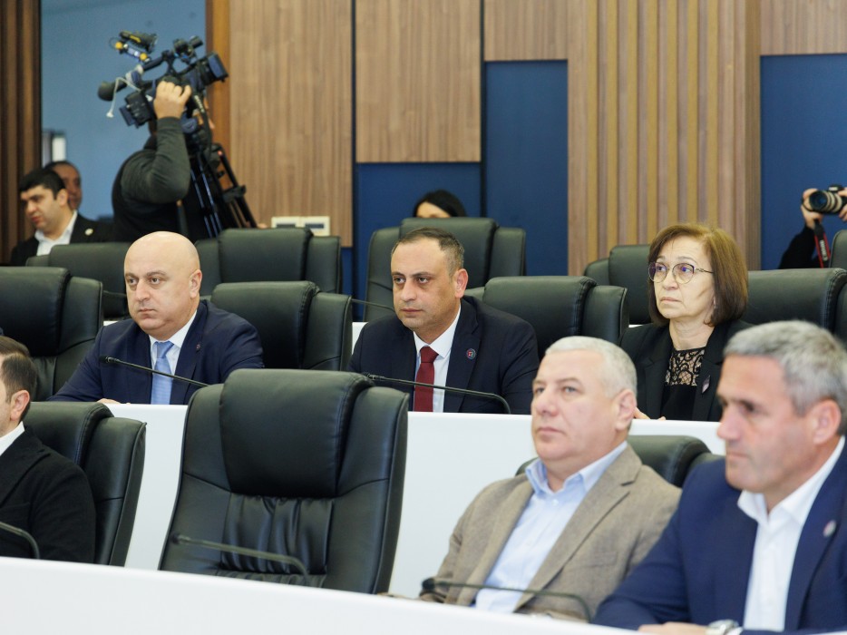 რიგგარეშე სესიის პლენარული სხდომა