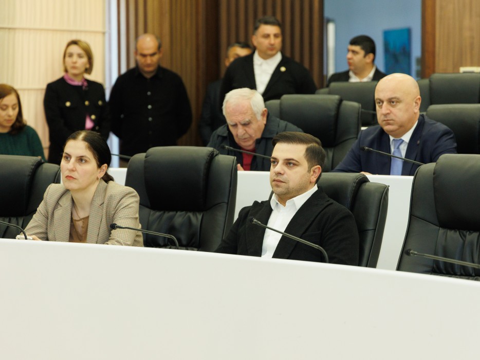 რიგგარეშე სესიის პლენარული სხდომა