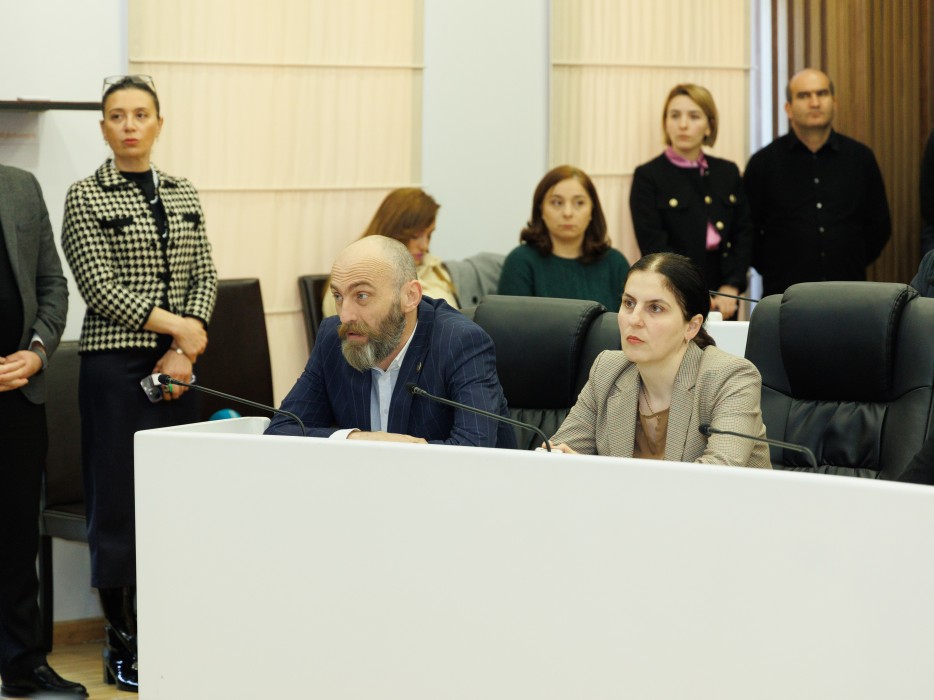 რიგგარეშე სესიის პლენარული სხდომა