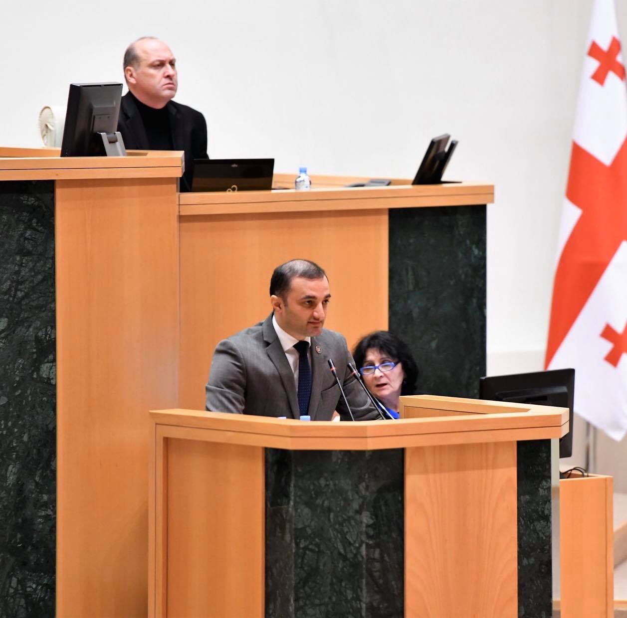 დავით გაბაიძემ პარლამენტში მორიგი საკანონმდებლო ინიციატივა წარადგინა