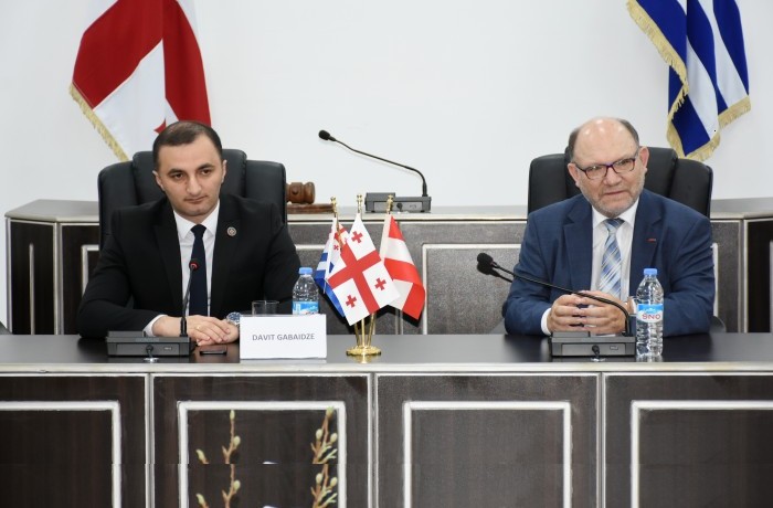 დავით გაბაიძემ ავსტრიის დელეგაციას უმასპინძლა