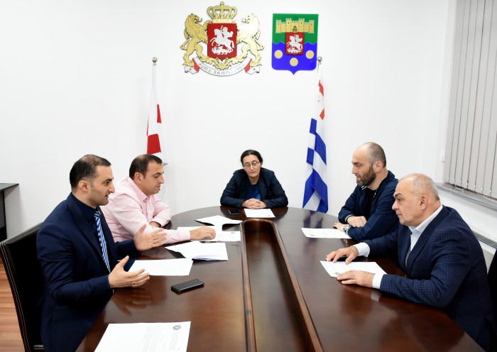 კონსტიტუციური კანონის პროექტები მზადაა I მოსმენით განხილვისთვის