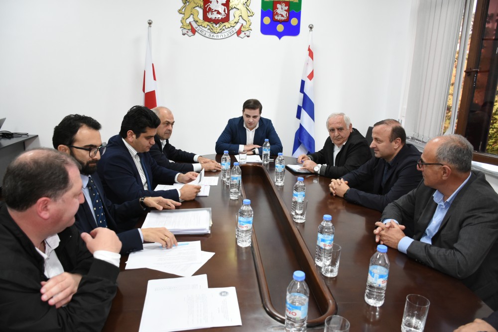 კომიტეტებმა ერთობლივ სხდომაზე ბიუჯეტის პროექტი განიხილეს