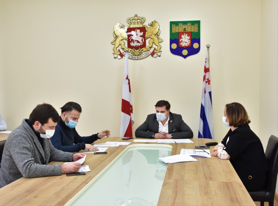 2021 წლის სამოქმედო გეგმა მცირედი ცვლილებით მიიღეს