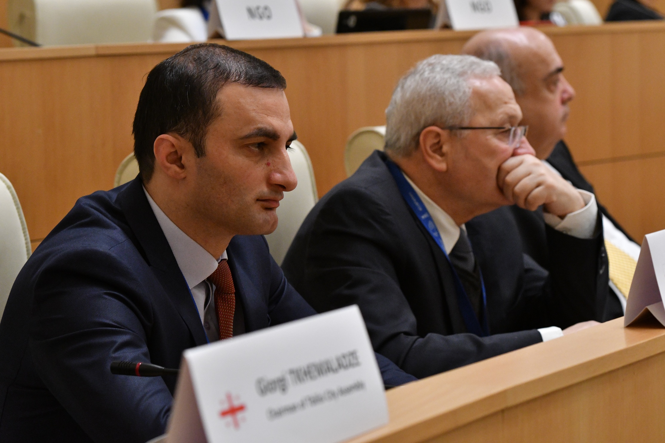 დავით გაბაიძე საერთაშორისო საპარლამენტო კონფერენციას ესწრება