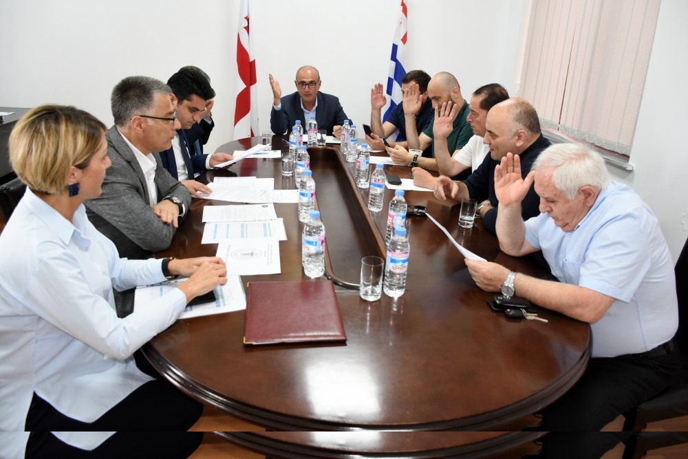 კომიტეტის სხდომაზე ორ მინისტრს მოუსმინეს