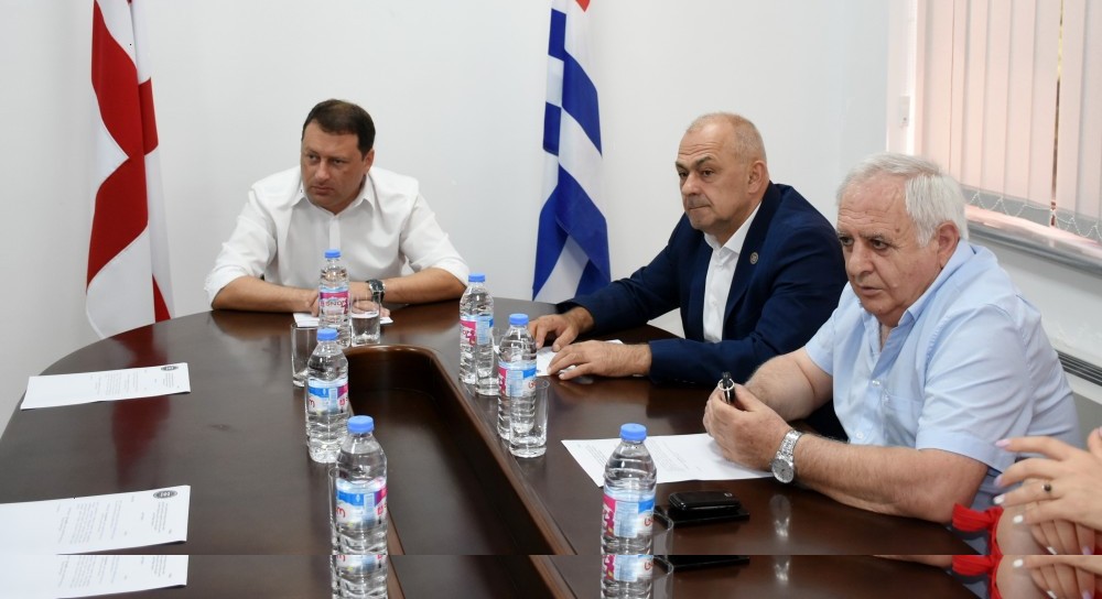 კომიტეტებმა ანგარიში ცნობად მიიღეს