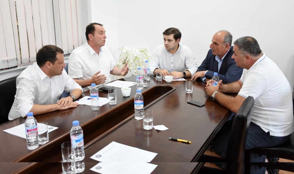 კომიტეტებმა ანგარიში ცნობად მიიღეს