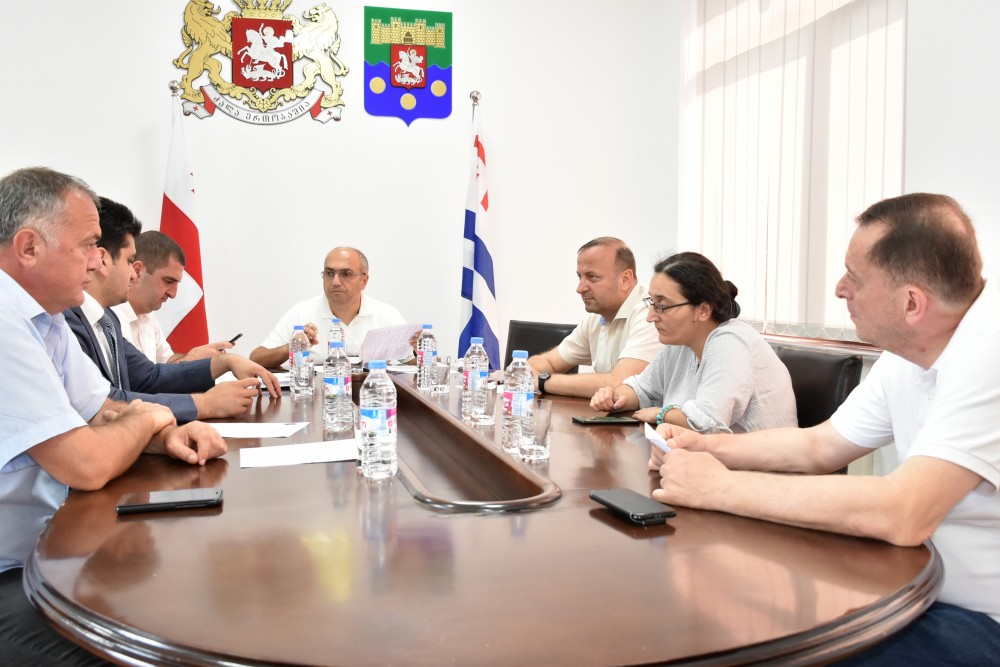 კომიტეტი ინიციატივას მხარს უჭერს