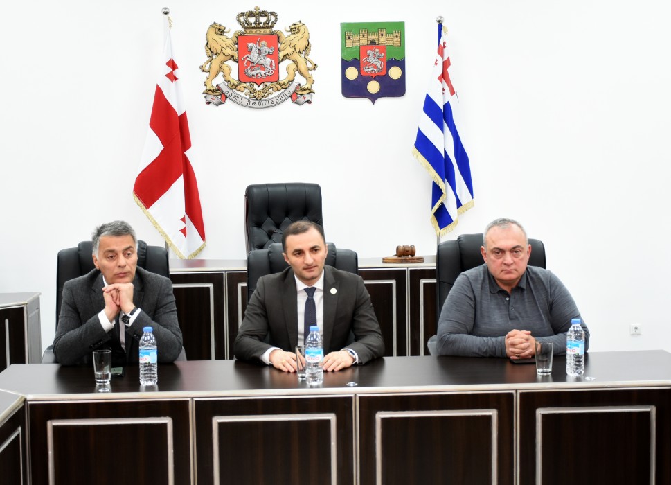 დავით გაბაიძემ კომპანია „ბალტის“ წარმომადგენლებს უმასპინძლა