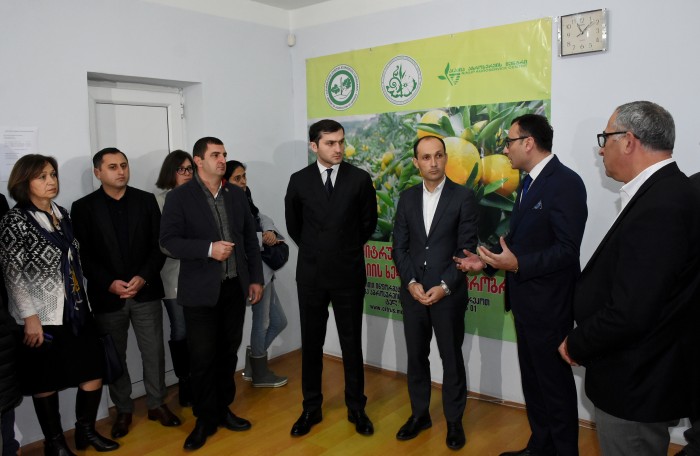 შეხვედრა ციტრუსის საკოორდინაციო შტაბში