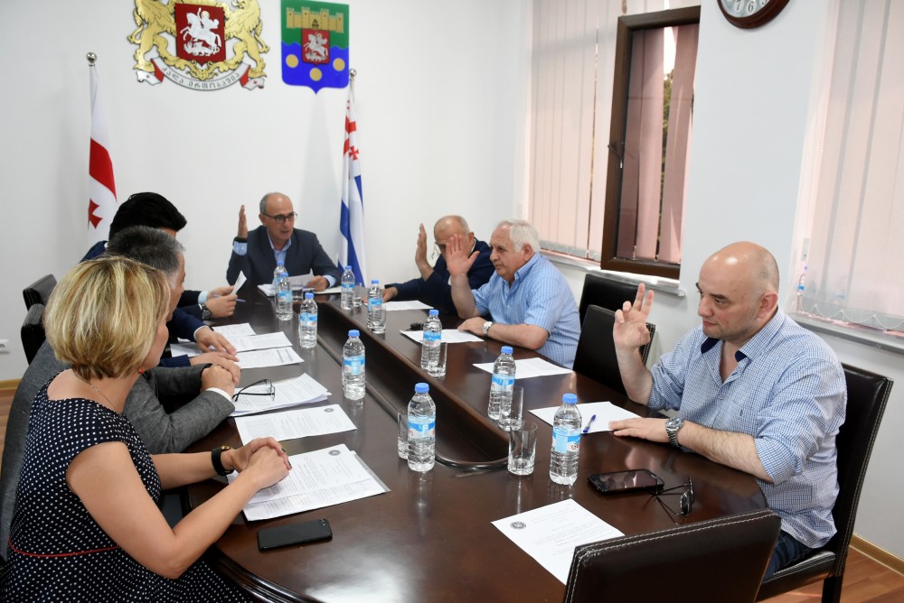 კომიტეტი ბიუჯეტის პროექტს მხარს უჭერს