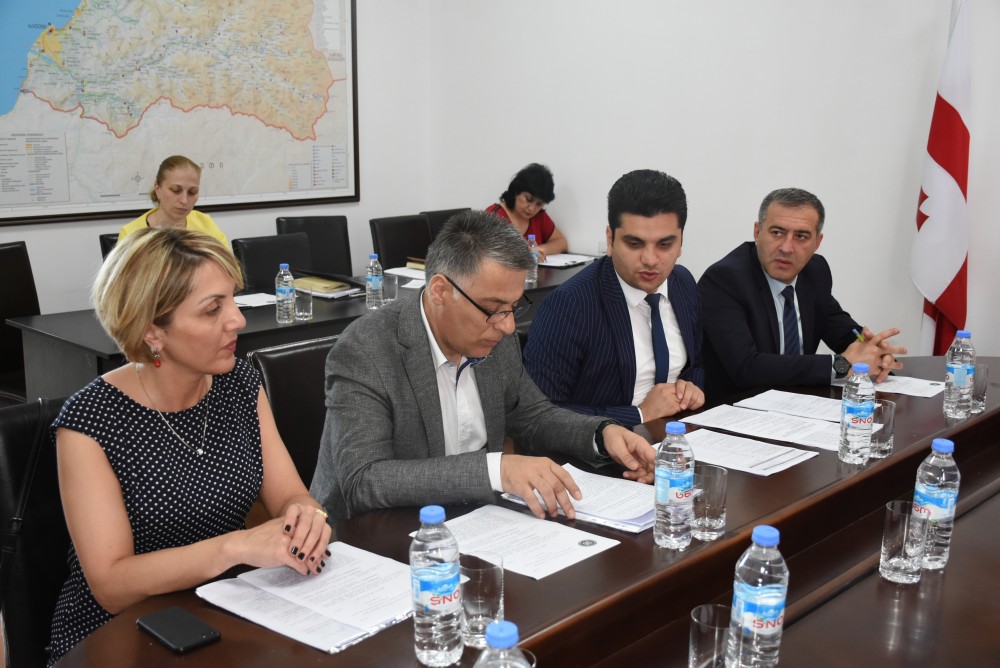 კომიტეტი ბიუჯეტის პროექტს მხარს უჭერს