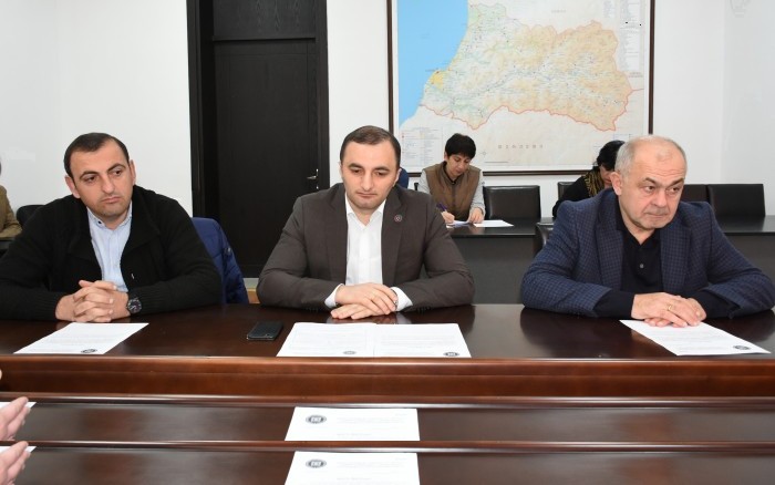 პროექტები პლენარულ სხდომაზე გასატანად მზადაა