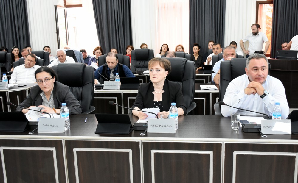 ბიუჯეტის კანონის პროექტი 11 ხმით მიღებულია