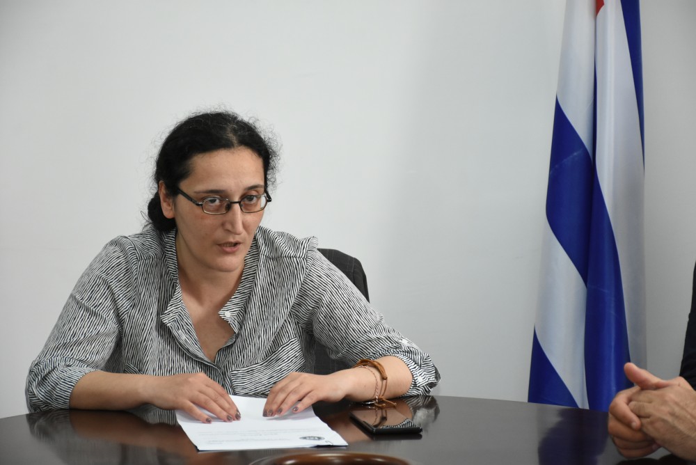  საბჭოს ანგარიში პლენარულ სხდომაზე განიხილება