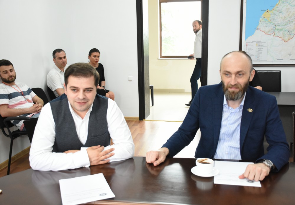  საბჭოს ანგარიში პლენარულ სხდომაზე განიხილება