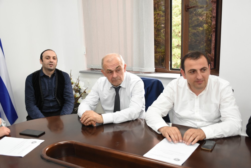  საბჭოს ანგარიში პლენარულ სხდომაზე განიხილება