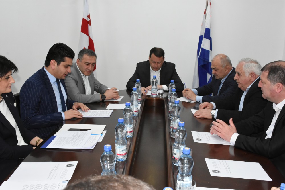 წარმოდგენილი ანგარიში ცნობად მიიღეს