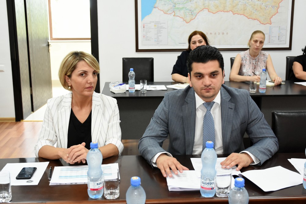 კომიტეტმა ინფორმაცია ცნობად მიიღო