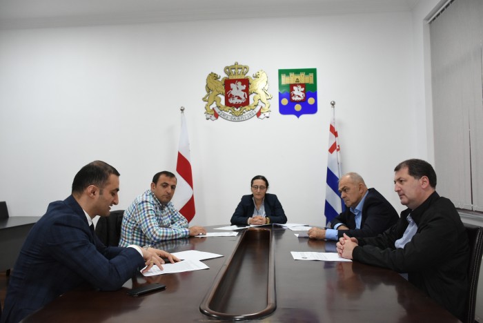  ინიციატივები პლენარულ სხდომაზე განიხილება.