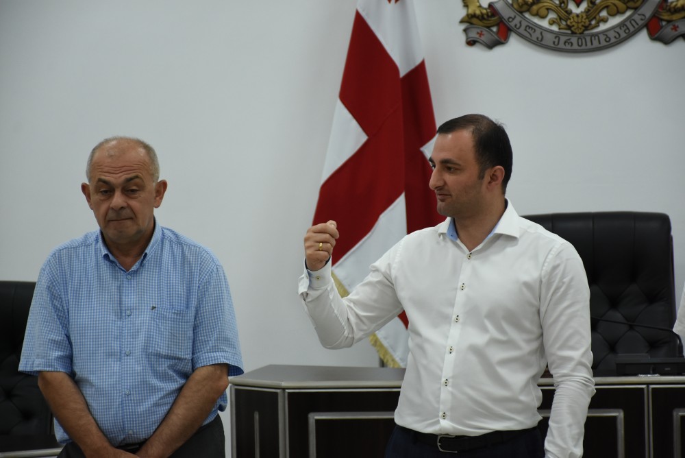 „ჩვენ ვსწავლობთ კონსტიტუციას“